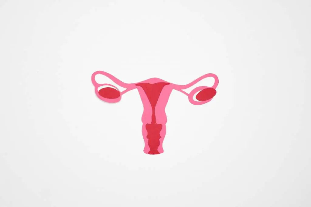 Ayurvedic explanation for PCOS