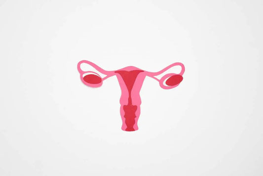 Ayurvedic explanation for PCOS