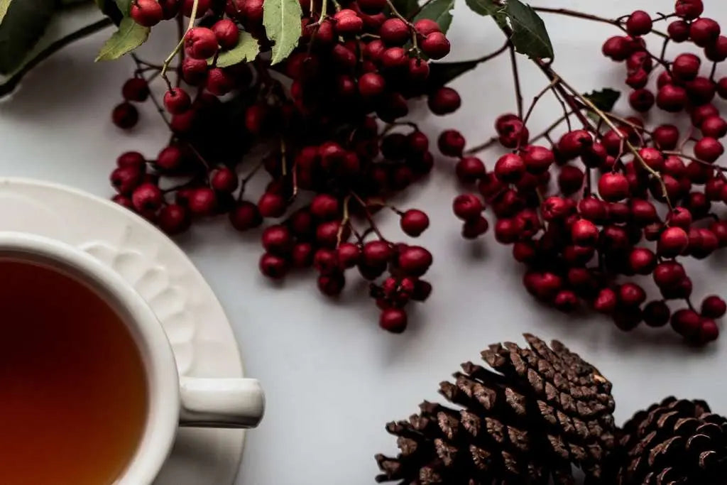 Winter Herbs